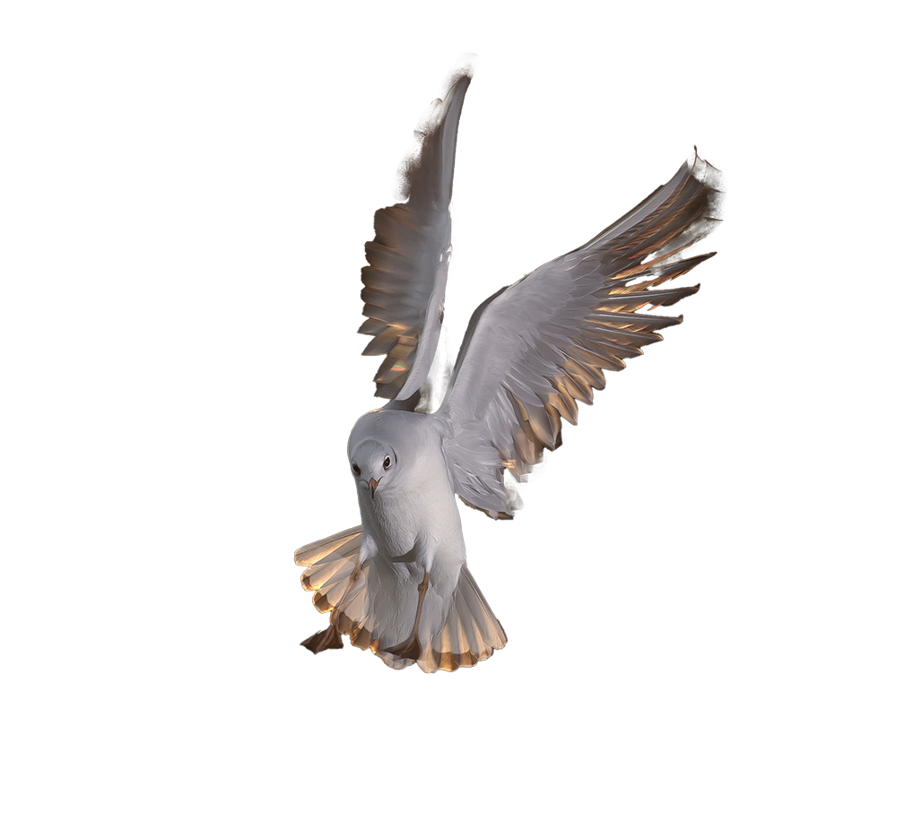 hp-koch-q2Ysn0AzwZw-unsplash